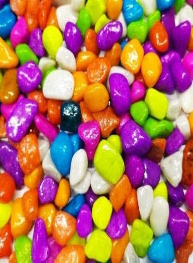 MASHKI Multi Coloured Decorative Stones River Pebbles for Flowerpot, Garden and Aquarium Decoration Suitable Stones for Garden décor Multicolour Stone for Plant and Vase Fillers - Image 1